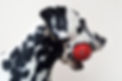 Untitled design - 2021-09-19T160712_edited.jpg