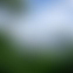 Brasil - Foz do Iguaçu, Paraná