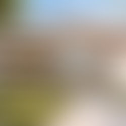 Rendering Courtesy of Bristol Myers Squibb