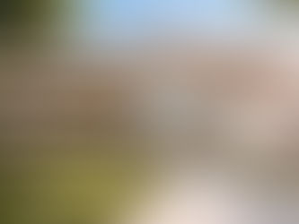 Rendering Courtesy of Bristol Myers Squibb