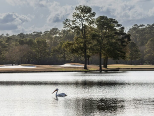 McCord’s Leadership Role in Partnership Lake Houston