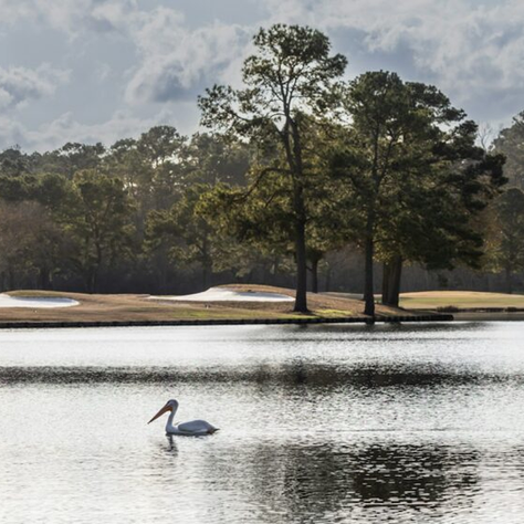 McCord’s Leadership Role in Partnership Lake Houston
