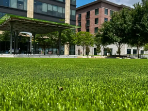 New Turf at Redemption Square’s Lawn