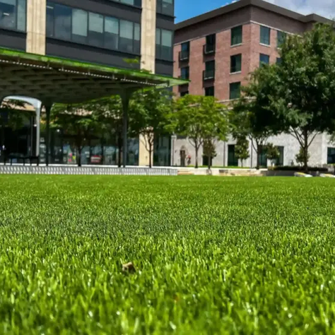 New Turf at Redemption Square’s Lawn