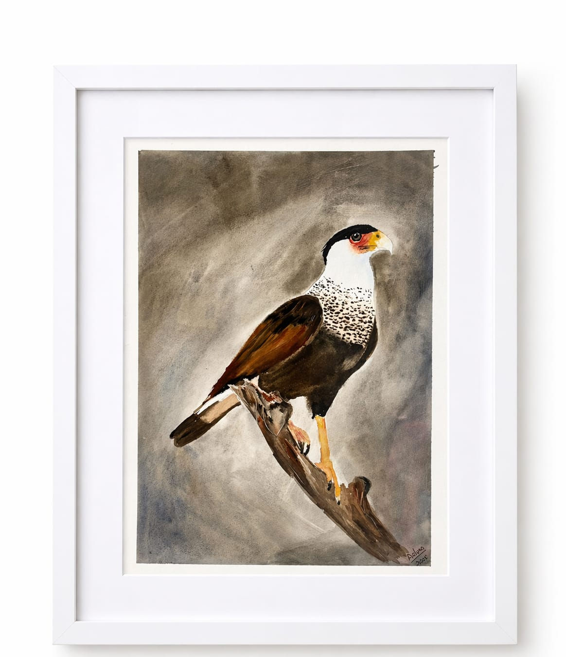 Quadro em Aquarela "Gavião"