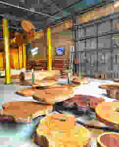 Showroom Arboreal