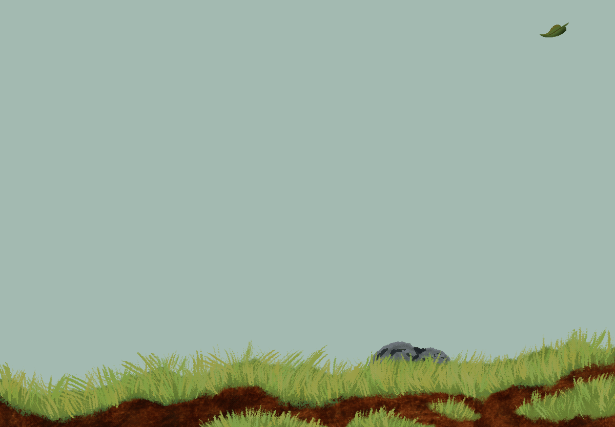 Copy of IMG_0372.gif