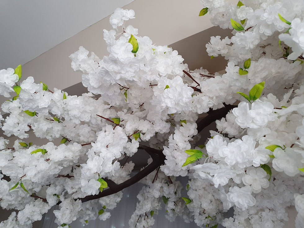 Thumbnail: 8ft Blossom tree canopy pair white or pink