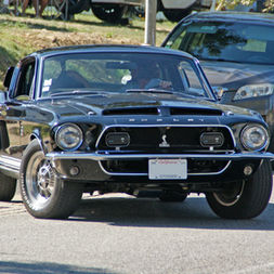 Shelby GT500 KR, La mustang Survitaminée