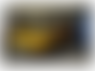 McLaren M1C, une voiture de course redoutable