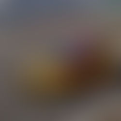 Fia Wtcr, race of grand-est, berceau d'une première victoire.