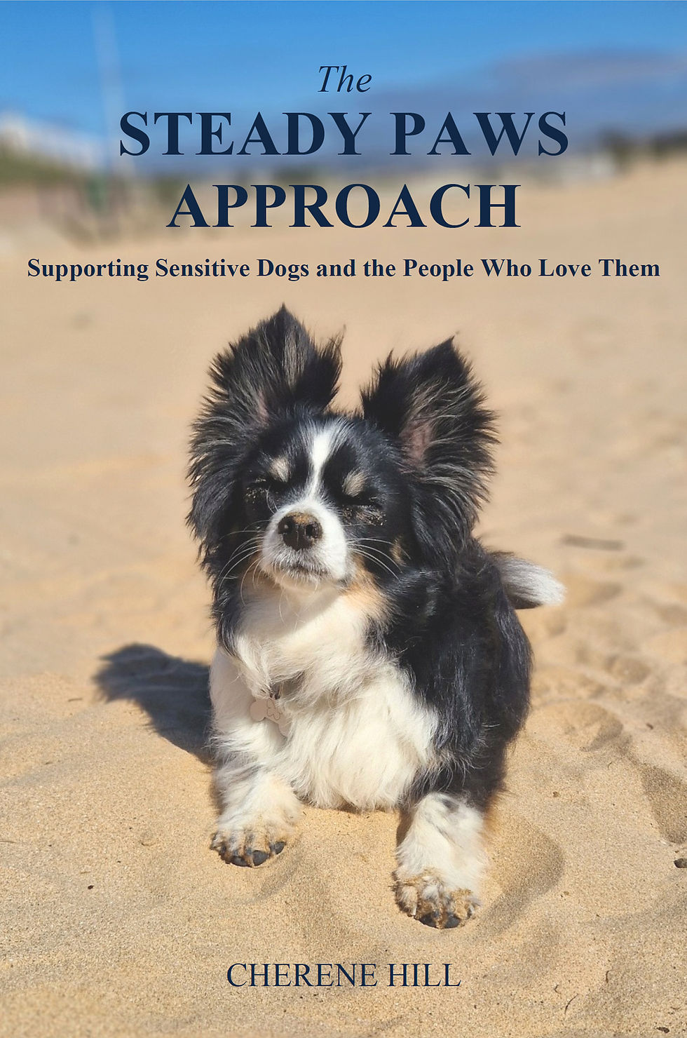 The Steady Paws Approach Amazon Front Cover.jpg