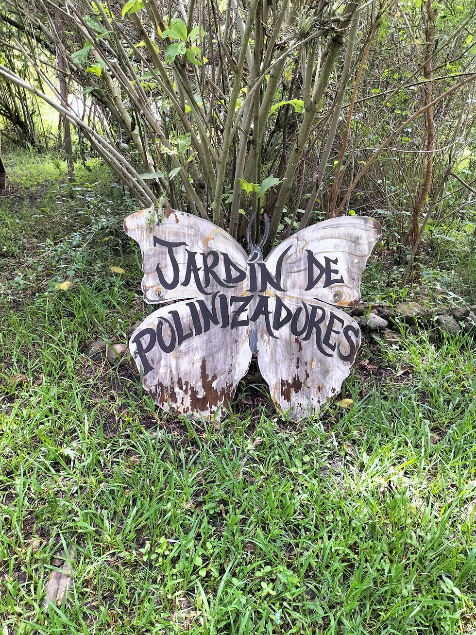 Entrada al jardín de polinizadores de Totláli