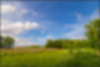 Retouched Background.jpg