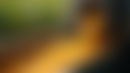 Essential Steps in the Sugar Manufacturing Process