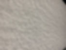 IMG_6546.jpeg