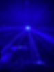 IMG_6685.jpeg