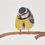 Thumbnail: Bluetit