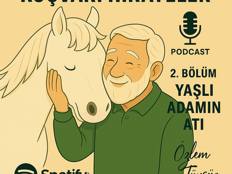 Yaşlı bir adamın kaybolan atıyla başlayan bu kadim hikâye, hayatı hemen yargılamanın ne kadar yanıltıcı olabileceğini gösteriyor. Belki de yaşadığın şey gerçekten kötü değildir… sadece zamanla anlam kazanacaktır.