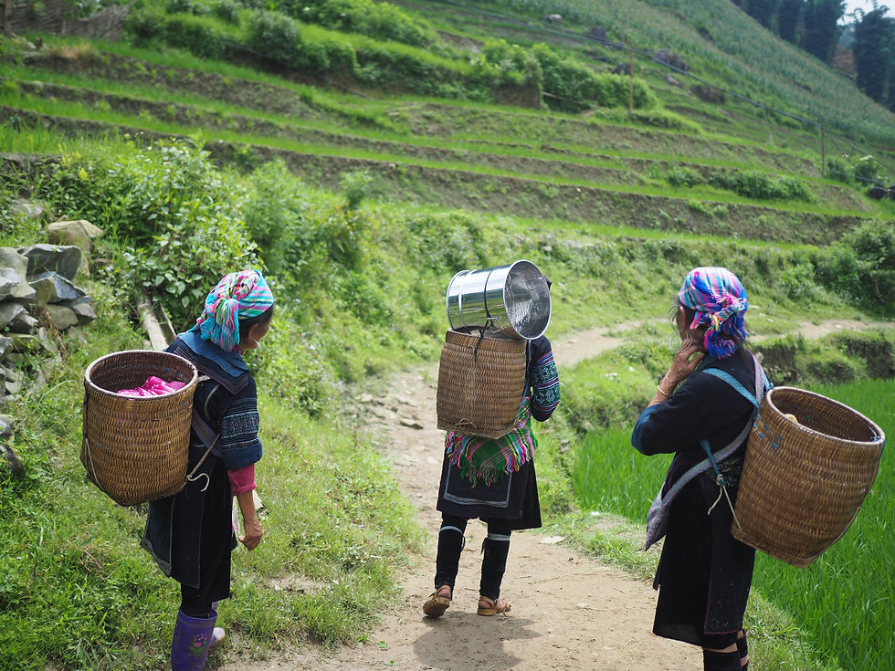 young women carrying baskets walking in a green field