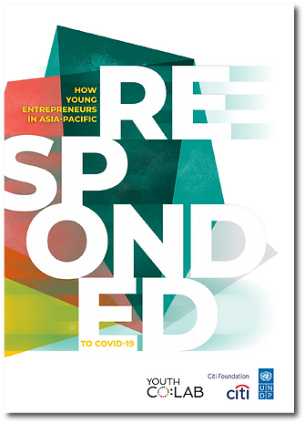 Report cover.png