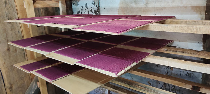 IMG_20211112_125300 - Phuntsho Norbu.jpg