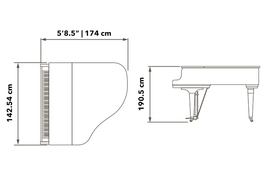 modelasize.webp