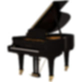 A-58-Ebony-Polish-opt.jpeg