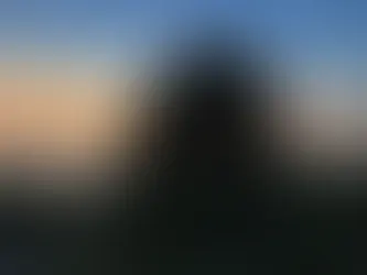 And sometimes the loneliness.