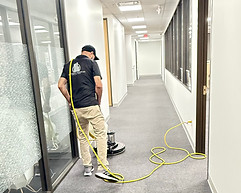 hall carpet cleaning .jpg