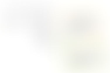 Preparation for PM 1: Exploring the Bioregional Paradigm - Mapping the Research Domain