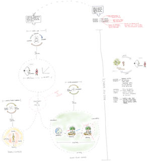 Harmonising Ecological, Economic, and Social Logic: A Journey of Discovery and Collaboration"