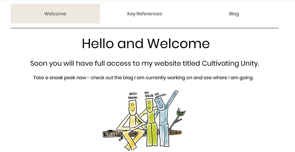 The Rollercoaster Ride of Research: A Personal Reflection