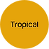 Tropical