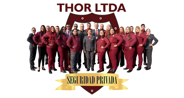 Seguridad Thor