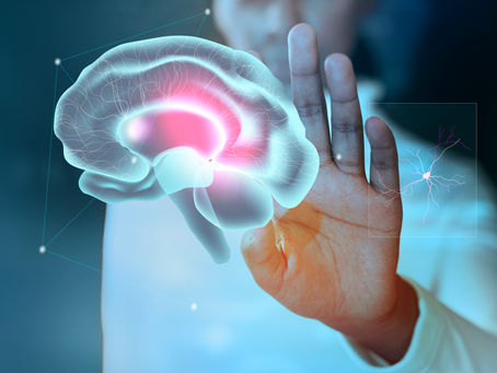 Las 5 Razones por las que Debes Formarte en Neuroliderazgo con Mindblue Coaching en Alfa Formación