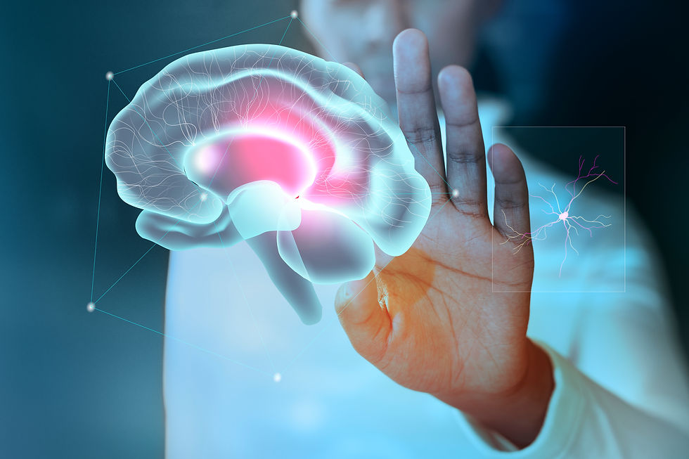 Persona tocando un cerebro virtual
