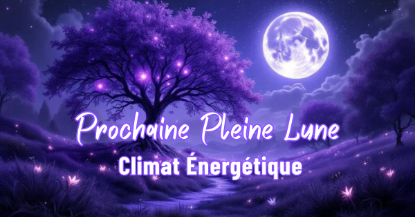 Une image contenant lune, arbre, ciel, objet astronomique 