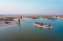 pexels-thelazyartist-1477676