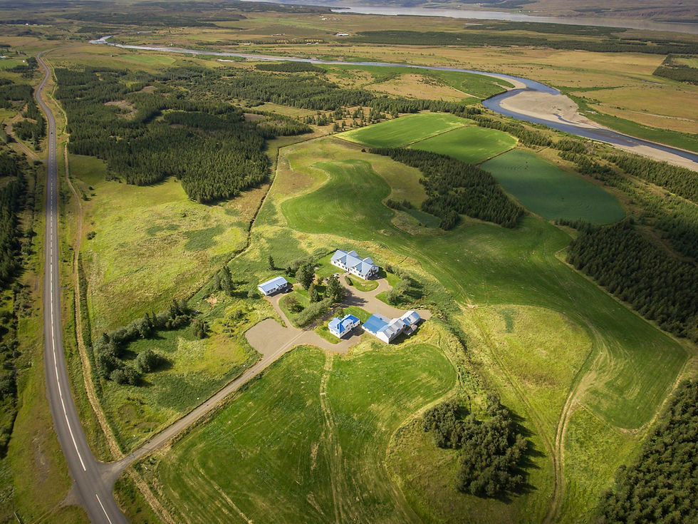 aerial