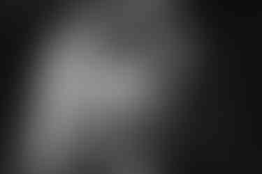 Fairmont Macdonald Hotel Edmonton Alberta Floral Garden Wedding