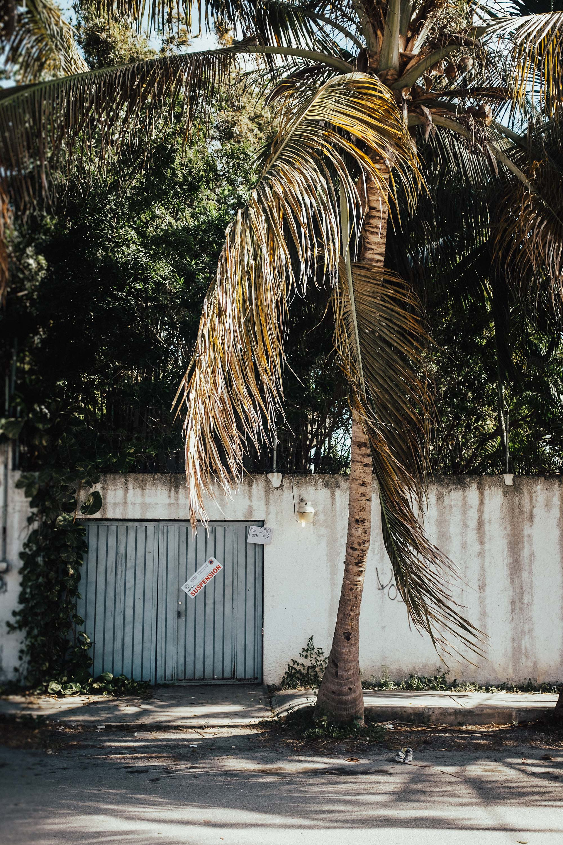 Playa Del Carmen, Mexico Street Documentary Travel Photography
