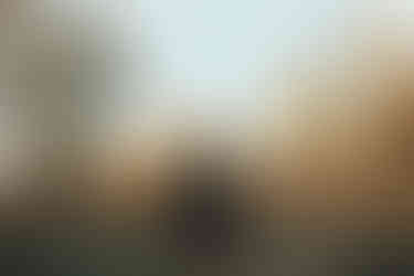 Strathcona Science Park Fall Engagement Session