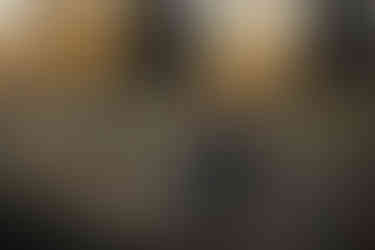 Strathcona Science Park Fall Engagement Session