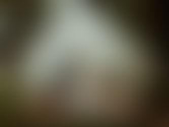 Danny + Olivia: Daysland, Alberta Wedding 2021