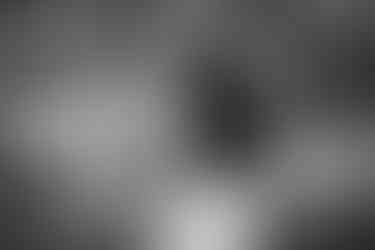 Mactaggart Sanctuary Edmonton, Alberta summer Family Session in wild flowers and nature