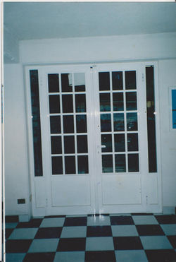PUERTA ALUMINIO RETICULADA