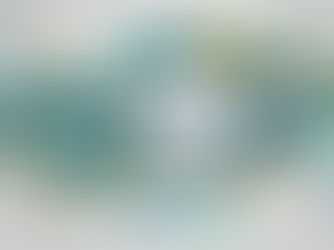 Omega-3: De Bouwsteen voor een Gezond Metabolisme