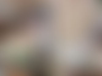 Міжнародний день шкільного харчування.