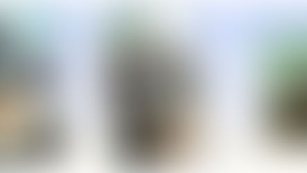 Профорієнтаційне заняття «Що я знаю про професію?».